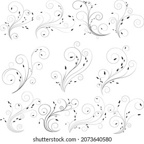 Thin curly floral lines with delicate leaf. Swirl black floral vector colection. Elegant spiral concept.
