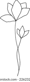 Thin, delicate, elegant, fragile, spring, flower on a long stem with a bud. Black white image, drawn by hand.