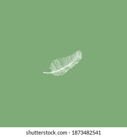 thin delicate feather of a bird. sign