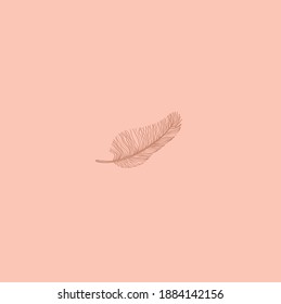 thin delicate feather of a bird. sign