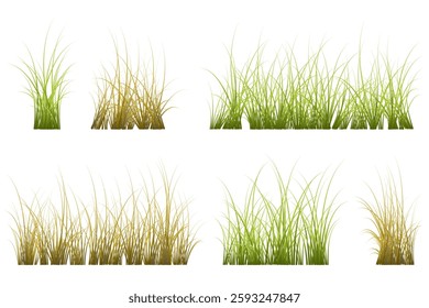 thin grass vector set illustration