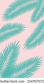 Thin green palm leaves on a pink background. Summer juicy banner.