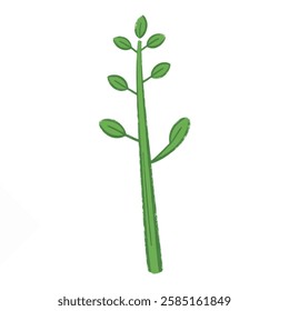 A Thin Green Plant Stick with Leaves, Minimalist and Fresh Botanical Design A thin green plant with delicate leaves, resembling a sprout or young stem.