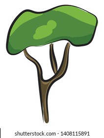 A thin green tree with brown trunk and three big stems, vector, color drawing or illustration. 