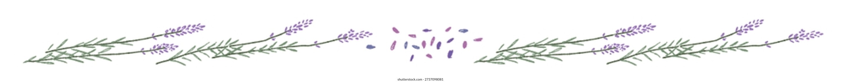 Thin Horizontal Lavender Flower Line Divider for Web Design
