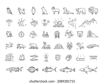 Thin line Arctic icons set, North Pole outline logos vector illustration. Arctic animals