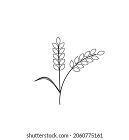 Línea delgada Icono de arroz de cebada aislado en fondo blanco.contorno icono de arroz de cebada de estilo plano