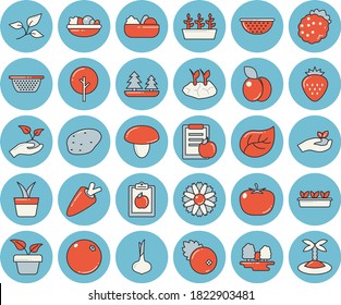 Thin line blue tinted icon set - colander flat vector, mushroom, potato, tomato, onion, carrot, salad, cranberry, Strawberry, blackberry, plum, orange, home plant, tree, flower, seedlings, leaf