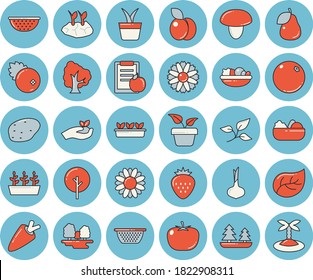 Thin line blue tinted icon set - colander flat vector, mushroom, potato, tomato, onion, carrot, salad, cranberry, Strawberry, plum, pear, orange, home plant, tree, flower, seedlings, planting plants