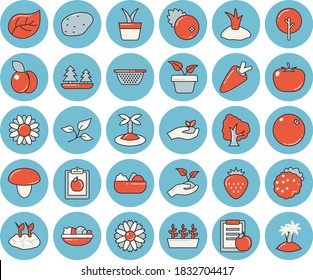 Thin line blue tinted icon set - colander flat vector, mushroom, potato, tomato, carrot, salad, cranberry, Strawberry, blackberry, plum, orange, home plant, tree, flower, seedlings, planting plants