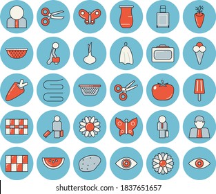 Thin line blue tinted icon set - tile flat vector, colander, towel, jugful, potato, tomato, onion, carrot, watermelon, ice cream, flower, butterflies, person, businessman, luggage, suitcase, eye