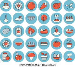 Juego de íconos tintados de color azul delgado - colander vector plano, setas, papa, tomate, cebolla, zanahoria, ensalada, ciruela, naranja, planta doméstica, árbol, flor, plántulas, plantas de plantación, hoja, bosque, dieta, isla