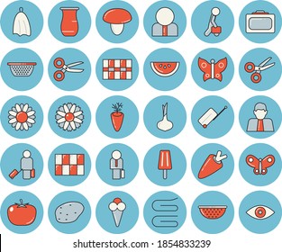 Thin line blue tinted icon set - tile flat vector, colander, towel, jugful, mushroom, potato, tomato, onion, carrot, watermelon, ice cream, flower, butterflies, person, businessman, luggage, eye