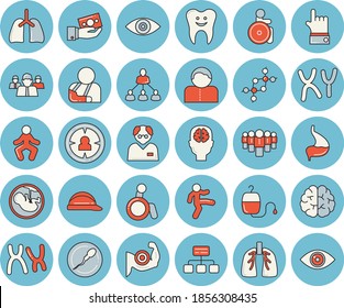 Thin line blue tinted icon set - hard hat flat vector, hierarchy, target audience, investments, team, blood transfusion, disabled, injury, eye, embryo, chromosomes, sperm, tooth, stomach, lungs, dna