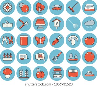 Thin line blue tinted icon set - tomato flat vector, canned food, mushroom, fish, jam, cranberry, plum, orange, well, nesting box, carrot, tree, flower, pitchfork, secateurs, rake, seedlings, rain