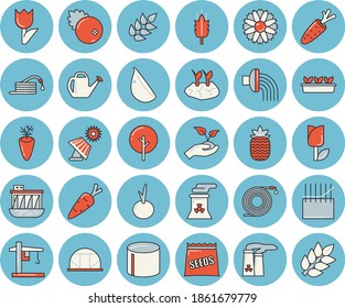Thin line blue tinted icon set - ear flat vector, carrot, garlic, onion, cranberry, pineapple, seeds, tree, flower, hose, seedlings, watering can, planting plants, irrigation, tulip, greenhouse