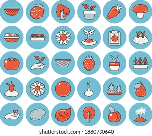 Thin line blue tinted icon set - colander flat vector, mushroom, potato, tomato, onion, carrot, salad, Strawberry, blackberry, plum, pear, orange, home plant, tree, flower, seedlings, leaf, forest
