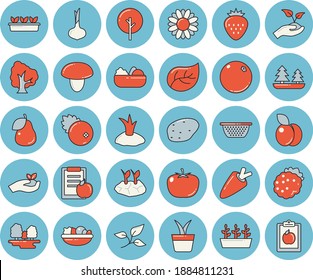 Thin line blue tinted icon set - colander flat vector, mushroom, potato, tomato, onion, carrot, salad, cranberry, Strawberry, blackberry, plum, pear, orange, home plant, tree, flower, seedlings