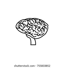 thin line brain icon. Body part element. Premium quality graphic design. Signs, outline symbols collection, simple thin line icon for websites, web design, mobile, info graphics on white background