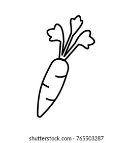 Thin line carrot icon