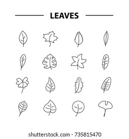 thin line design icon of leaves. vector illustration