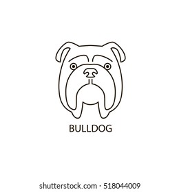 Thin line design logotype. Vector image of dog head on white background. Cute dog, face of english bulldog.