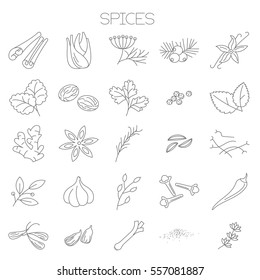 Thin line flat design spices menu  vector icon set  for application, website,  online store and paper menu design.