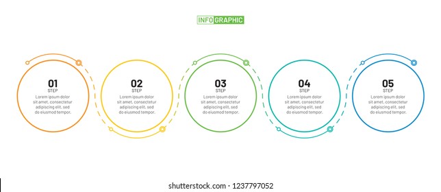 Thin line flat infographic design template and number options. Timeline with 5 options, steps or process. Vector business template for presentation.