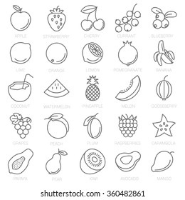 Thin line fruits vector icon set