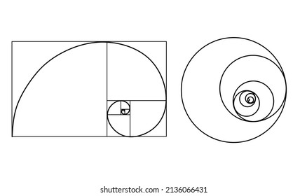 thin line Golden ratio template vector, Divine Proportions, Golden Proportion. Universal meanings. Golden spiral, method of golden section, Fibonacci array, Fibonacci numbers isolated on white backgro