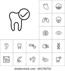 thin line good tooth, ok icon on white background