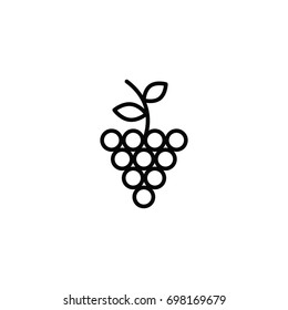 thin line grape icon on white background