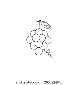 Uvas de línea delgada ilustración de icono de frutas aisladas en fondo blanco.contorno de uvas planas icono de fruta