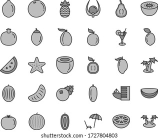 Thin line gray tint vector icon set - blueberries vector, orange slice, pomegranate, melon, water, mango, loquat, date fruit, of tangerine, sweet, lime, kiwi, tamarillo, sour, guava, half guawa