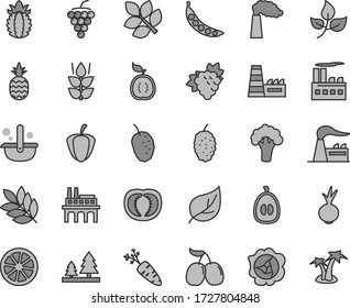 Thin line gray tint vector icon set - beet vector, a pineapple, mint, branch of grape, large, squash, mulberry, tasty, cornels, half loquat, juicy lemon, guawa, ripe, tomato, pepper, carrot, peas