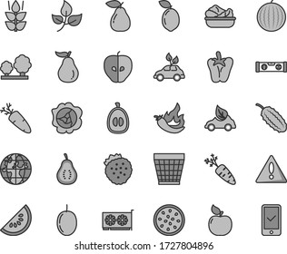 Thin line gray tint vector icon set - warning vector, wicker pot, building level, lettuce in a plate, peper, carrot, strawberries, mint, squash, pear, apricot, tasty apple, water melon, slice of