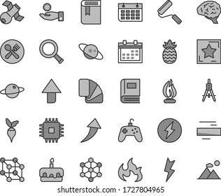 Thin line gray tint vector icon set - calendar vector, upward direction, minus, book, new roller, sample of colour, lightning, planet, torte, pineapple, radish, Measuring compasses, catch a coin