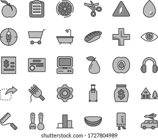 Thin line gray tint vector icon set - plus vector, bar chart, plastic fork spoons, cogwheel, new roller, bath, electronic boiler, eye, drop, move right, spaghetti, japanese sushi, ripe peach, pear