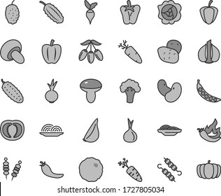 Thin line gray tint vector icon set - fried vegetables on sticks vector, onion, slices of, mushroom, porcini, meat skewers, cabbage, cucumber, peper, beet, garlic, carrot, squash, mulberry, ripe