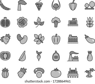 Thin line gray tint vector icon set - tomato vector, garlic, mint, half pomegranate, grape, branch of, large, squash, rose hip, loquat, ripe pineapple, physalis, Bell pepper, peas, beans, mashroom