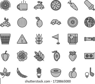 Thin line gray tint vector icon set - warning vector, wicker pot, pennant, construction level, carrot, cup of tea, a glass, apple, mint, squash, strawberry, water melon, half mango, kiwi, sour lime