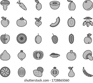 Thin line gray tint vector icon set - slices of onion vector, mushroom, porcini, tomato, carrot, pear, orange, peach, pomegranate, red apple, tasty, fig, medlar, half, mulberry, melon, slice, loquat