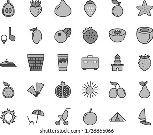 Thin line gray tint vector icon set - wicker pot vector, summer stroller, suitcase, blueberries, strawberry, strawberries, pear, half pomegranate, fig, tasty raspberry, blueberry, cornels, mango