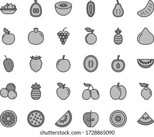 Thin line gray tint vector icon set - a plate of fruit vector, pineapple, apple, pomegranate, large grape, quince, apricot, red, tasty, fig, raspberry, blueberry, blueberries, mulberry, cornels