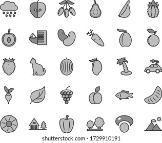 Ensemble d'icônes vectorielles de teinte grise mince - vecteur nuageux pluvieux, ail, carotte, poisson, pomme, grand raisin, savoureux, framboise, bleuet, melon, mangue, loquat, baie goji, tranche de tangerine, demi-cerise
