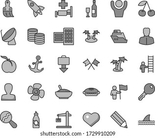 Thin line gray tint vector icon set - heart symbol vector, woman, beanbag, plastic brush, city block, key, anchor, coins, pie, a bowl of rice porridge, liquor, cherry, ripe peach, fan screw, pencil