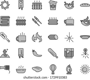 Thin line gray tint vector icon set - electronic thermometer vector e, mercury, heating coil, temperature, radiator, boiler, coffee, sausage, loaf, mini hot dog, noodles, porridge, chop, barbecue