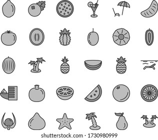 Thin line gray tint vector icon set - blueberries vector, a pineapple, orange slice, pomegranate, fig, melon, half, of tangerine, passion fruit, sweet date, lime, piece coconut, ripe, grapefruit