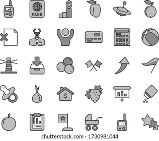 Thin line gray tint vector icon set - wind direction indicator vector, dummy, baby powder, carriage, bath ball, toy phone, mobile, yule, passport, put in a box, delete page, branch of grape, tasty