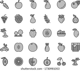 Thin line gray tint vector icon set - lettuce in a plate vector, glass of tea, blueberries, strawberries, pear, orange, cherry, half apricot, large grape, red apple, tasty, strawberry, rose hip